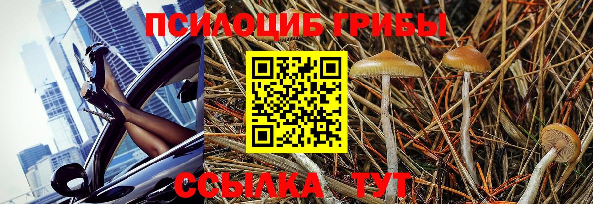 Галлюциногенные грибы MAGIC MUSHROOMS  Галлюциногенные грибы ЛСД  Вход с VPN  Алапаевск 